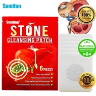 6 Kidney and Bile CLEANSING Patches – STONE CLEANSING - Kidney Detox - Gallbladder - Prevent Bladder