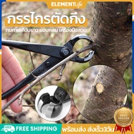 [ส่งจากไทย] คีมตัดกิ่ง เครื่องมือจัดทำสวน ไม้ประดับ คีมตัดบอนไซ กรรไกรตัดแต่งบอนไซ อุปกรณ์ทำสวนตัดแต