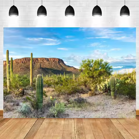 Desert Nature Landscape Photography Backdrop Grand Canyon Monument Valley Cactus Cowboy Theme Portra