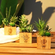 Ornaments Plant Bonsai Cactus Simulation Succulent Decoration Green Plant Office Mini Living Room Fa