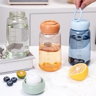 (B02) Diller Water Bottle with Tritan Tea Filter 300ml