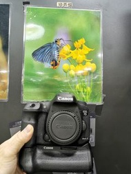 canon EOS 7D II 7D2 不連直搗 極新凈 對焦速度快，生態運動