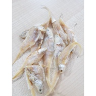 [Borong Dried Salted Fish]Ikan Masin Bulu Ayam Gred A 10kg/carton / Salted Fish