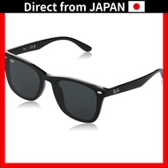 Ray-Ban Sunglasses RB4391D 601/9A Black 65