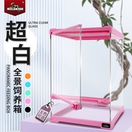 Reptile Rainforest Tank Gecko Breeding Box Lizard Horned Frog Hermit Crab Spider Glass Tank Reptile 