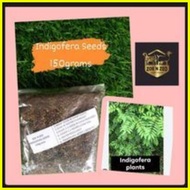 ✆ ✉ ▬ Indigofera seeds 150 grams