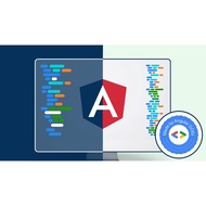 [Course] Angular Material Theming