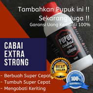 Tervirall !! Pupuk Tanaman Cabe Pupuk Perangsang Buah Cabe Pupuk Cabe Rawit Pupuk Tanaman Cabe Rawit