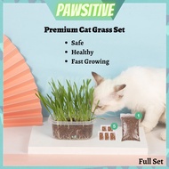 PAWSITIVE Cat Grass Seed/Cat Food/Cat Hairball Solution/Biji Benih Rumput Kucing/Pokok Kucing/Makanan Kucing Murah/猫草 种子