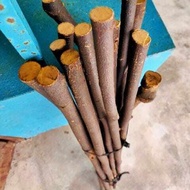 Tongkat Hiking Kayu tas Jantan