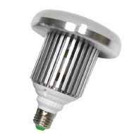 50W ALUMINUM BODY LED LIGHT BULB