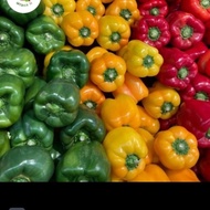 paprika segar Medan 1kg termurah