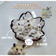 Hamster Snack Popcorn [HOMEMADE] 仓鼠零食爆米花🍿