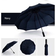 Aurora Official SG Seller READY STOCK 12 Ribs Umbrella Automatic Umbrella Lightweight Windproof Large Umbrella Auto Open