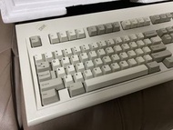 IBM Enhanced Keyboard Model M