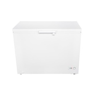 【TECO 東元】300公升上掀式定頻臥式冷凍櫃 RL3002W