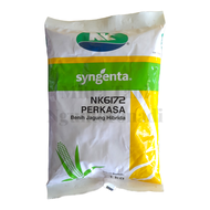 Benih Jagung Hibrida NK6172 Perkasa Cap Syngenta 1Kg