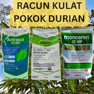 [1 Set ] Aliette 250g + Antracol 70WG 1kg + Monceren 500g set Fungicide / Racun kulat untuk Pokok Du