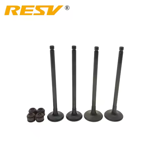 RESV for SYM GTS CRUISYM Joymax QUAD LANDER WOLF 250 300 CITYCOM HD JOYRIDE 300 Valve Intake Exhaust