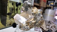 印度喜馬拉雅山脈產地
封頂級極品喜馬綠幽靈冰晶簇
共生(黃膠花水晶)(金雲母)