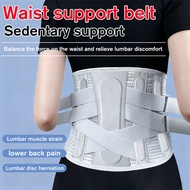 Back support, back pain support belt, lumbar support cushion, ergonomic design, herniated disc