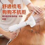 全城熱賣 - 寵物吹風機 -二合一便攜式寵物吹風機，寵物吹風機梳，中小型犬和貓用靜音便攜式吹風機 -英规