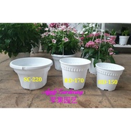 BABA Biodegradable Flower Pot*BABA 白色花盆