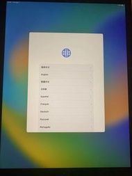 iPad Pro 12.9 256G (2017)二代