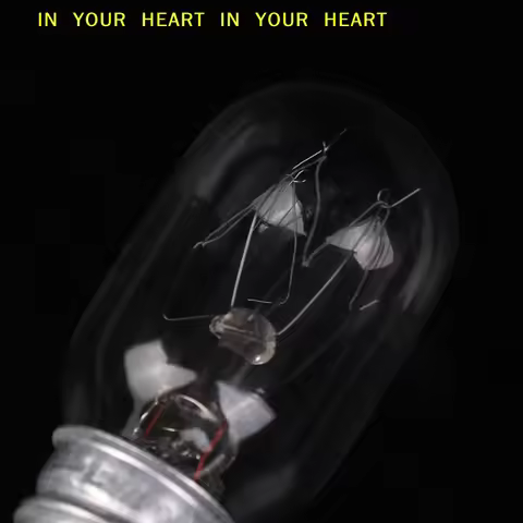 5Pcs E14 Salt Lamp Globe Bulb 10/15/20/25W 220V-230V Incandescent Bulbs Refrigerator Oven Light Bulb