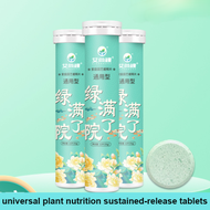 agetet Universal Plant Nutrition Sustained-Release Tablets Universal Organic Fertilizer