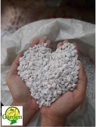 White Pebbles Stone - Size 10 (3 KGS) ready to use for Plants for Sale, Indoor Plants, Live Plants a