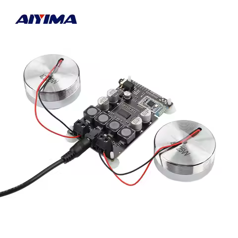 AIYIMA 2 Inch Audio Portable 25W Resonance Vibration Speaker TPA3118 Bluetooth 5.0 Amplifier Sound N