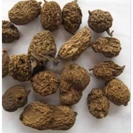 50 GR 100 GRAM JIN GUO LAN PUA PIAN LIAN BAN BIAN LIAN ZHI TINOSPORA ISGITTATA