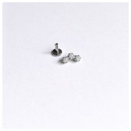 High quality Titanium ASTM F136 Titanium earrings