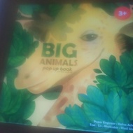 pop up book big animals preloved murah