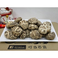 Japanese White Mushroom | 日本种白花菇 【Ready Stock 100G-200G】