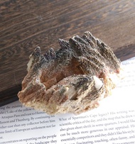 Calcite 湖北產地 帶彩 羽毛方解石 天然礦石 原礦