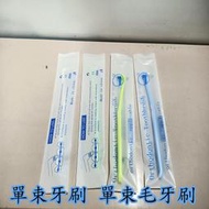 台灣現貨   單束毛牙刷 單束牙刷