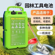 W-8&amp; Lithium Battery for Electric Mower24v36v48vHedge Trimmer Tea Plucking Machine Special Battery for Garden Tools 6GXJ