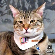 庫力量寵物領巾-彩色電視機 台灣製 台灣原創設計 寵物小孩親子裝