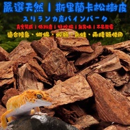 Tortoise Station | Reptile Substrate Bark Block Wood Block Landscaping Gardening Tortoise Chow Chow 