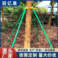 Shelf Support Manufacturer Wholesale Support Rod Supplies Garden Strap Steel Pipe Support Tree Green