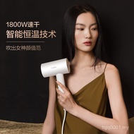 Hair Dryer for Constant Temperature Household Coffer High Power Machine Dormitory Hair Care Hair Dry