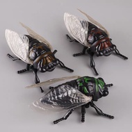 WOWEIAOKUANG | Relaxing Summer Cicada Wind-up Toy