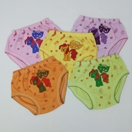 SAVING PACKAGE 12 PCS STRAWBERRY MOTIF GIRLS' UNDERWEAR CD DOZENS OF GIRLS' CD/ 2-8 YEARS