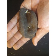 Natural results of metal stone iron aji 4
