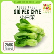 [AGOGOFRESH] Sio Pek Chye (250g) | Vegetable Fruit Guaranteed Freshness Agogo Fresh
