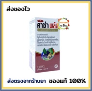 EXP 11/2024 Kachaa Plus คาซ่า พลัส 1 กล่อง 30 เม็ด