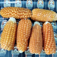 Mini Dried Corn Organic Hamster Bites Dried Corn/ Corn HamsterCemilan