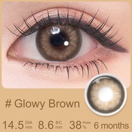 Magister Malaysia Contact Lens With Power Mega Glam Look Deep Eyes Lenses Glowy Brown/Glowy Gray/Buf